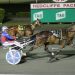 Queensland harness racing wrap 2 Queensland harness racing wrap