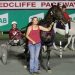 Queensland harness racing wrap