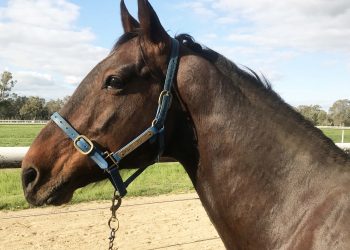 Medieval Man all the way