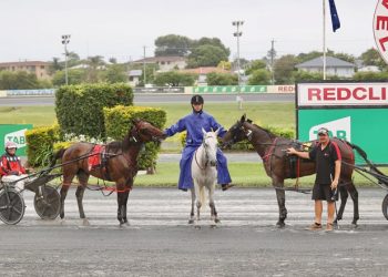 Queensland harness racing wrap