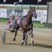 Plans to overcome unwanted draw in $200,000 feature 5 ‘Up and comers’ ready to break into Grand Circuit racing