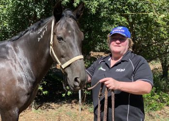 ‘Smudge’ to star at Ballarat Cup night