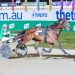 Kiwi trotter back to reclaim crown