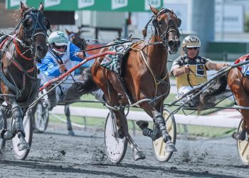 A Flyer for Warrawee Needy