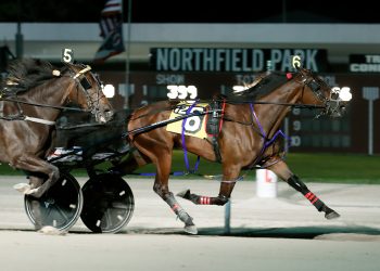Ohio 3YO Trotting Colt of the Year is Winning Ticket