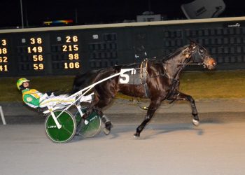 Yanks Dugout hits homer in top trot