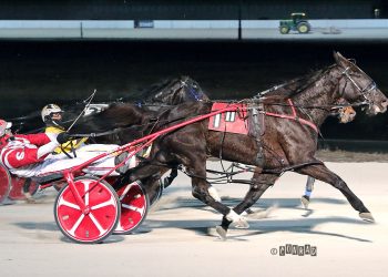 Favorite nipped at the wire in series final