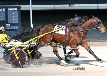 Four Open Paces, four different winners