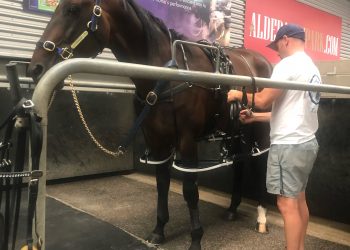 Artie brings smiles wide and far