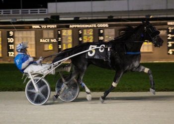 Toy’s For You romps in Open Trot