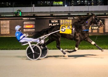 Toy’s For You continues to mow down opponents