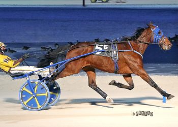 Pick Me Upper owns Open Trot