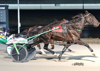 First Mares Open of the season to Sandy Sue