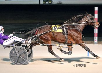 Local favorite scores in Open