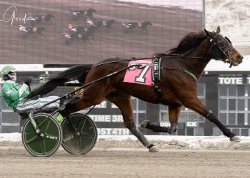 Pocket-rocket trip wins top trot