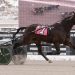 Late kick gets Torrin Hanover home in Open