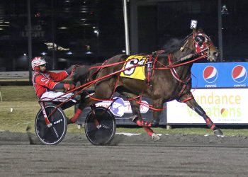 Jim King Solomon takes ML King race at Big M