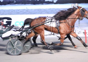 Gingras & Ford firing right out of the gate