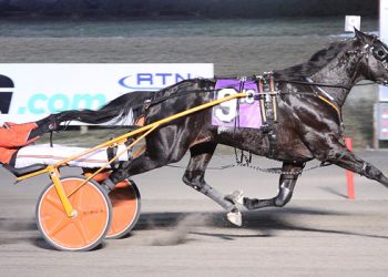 Get Legs repeats, Gingras nails 8’000th win