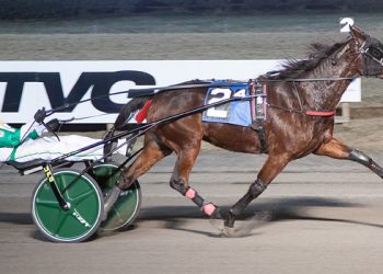 Down the pike for Kenziesky Hanover