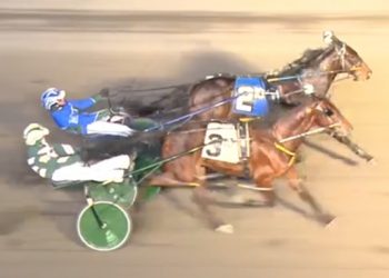 No holding back for American History