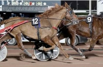 Fakir du Ranch a game winner at Cagnes sur Mer