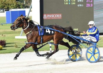 Six lot harness racing auction ending tonight