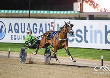 Amore and Madrid – the NSW Oaks big players