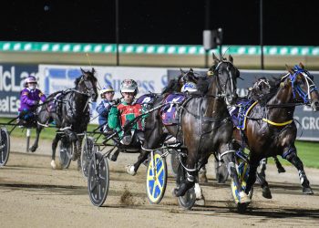 In form stable ready to plunder top features