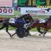 Two top harness racing mares heading to Aussie 2 Two top harness racing mares heading to Aussie