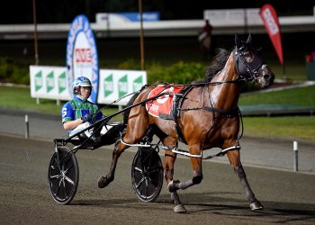 Boncel back on track