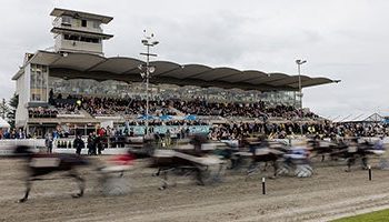 It’s all go for harness racing slot race