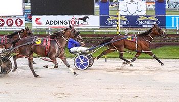 Cranbourne and Muscle Mountain record classy victories