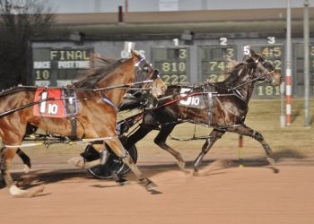 Kakaley can’t stop winning