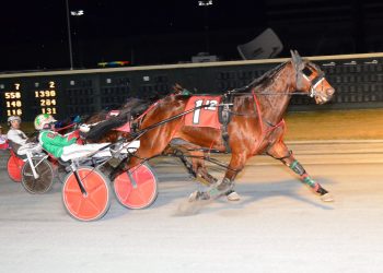 20-1 long shot upsets in Open Pace