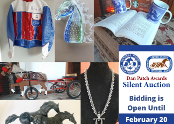 2022 HHYF/USHWA Silent Auction underway
