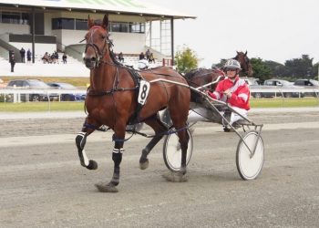 Gray looking for better luck