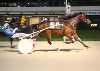 You can’t keep a good stable down