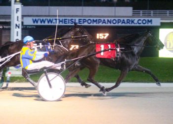 Is there anyone who can beat Toys For You