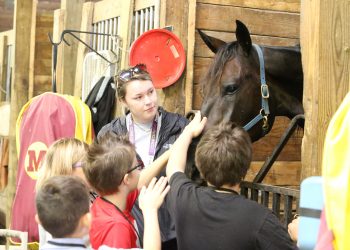 Hoosier Park offers internship for 2022 season
