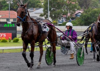 Still driving winners at age 80