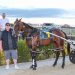 Harness racing journalist offers first horse