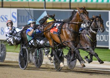 ‘Team McCarthy’ ready to raid $500,000 Hunter Cup