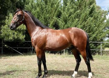 Mataranka building relationships key to success