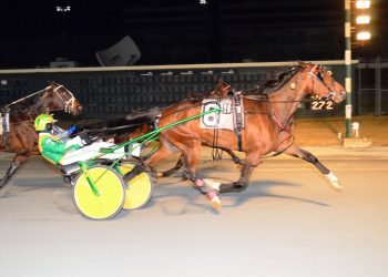 Last to first for Lovedbythemasses