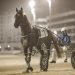 Shock upset in 3YO Colts and Geldings Harness Million