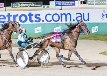 Majestic trotter bounces back into Group 1 success
