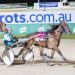 Majestic trotter bounces back into Group 1 success