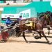Pacer breaks maiden at start 49