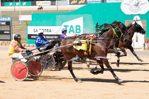 Pacer breaks maiden at start 49